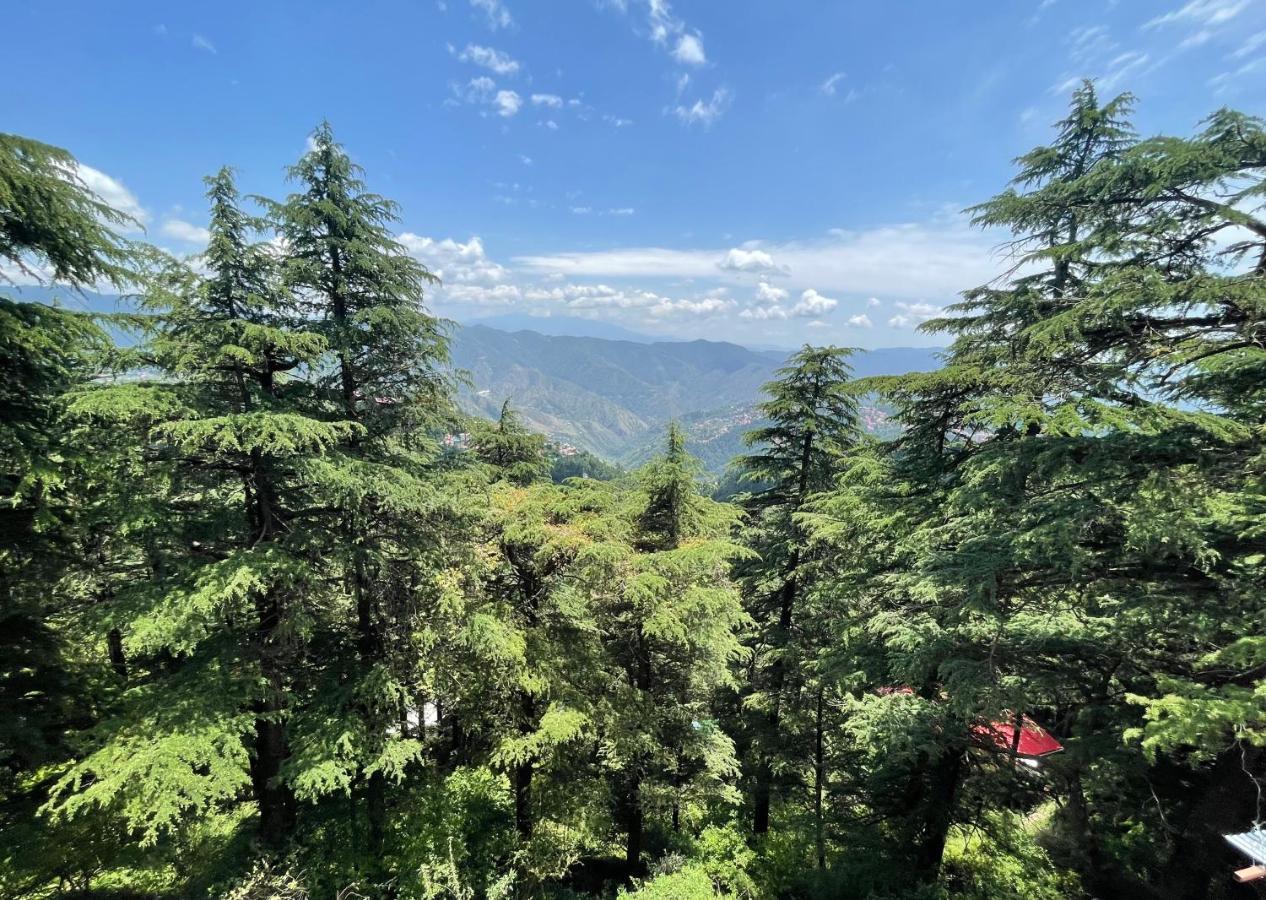 Deodar Heights Shimla Exteriör bild