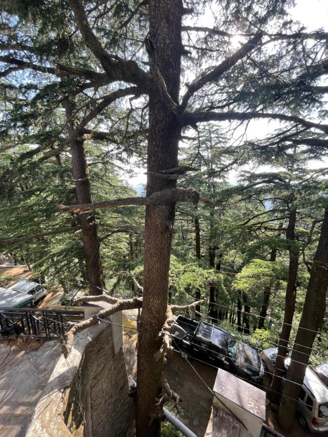 Deodar Heights Shimla Exteriör bild